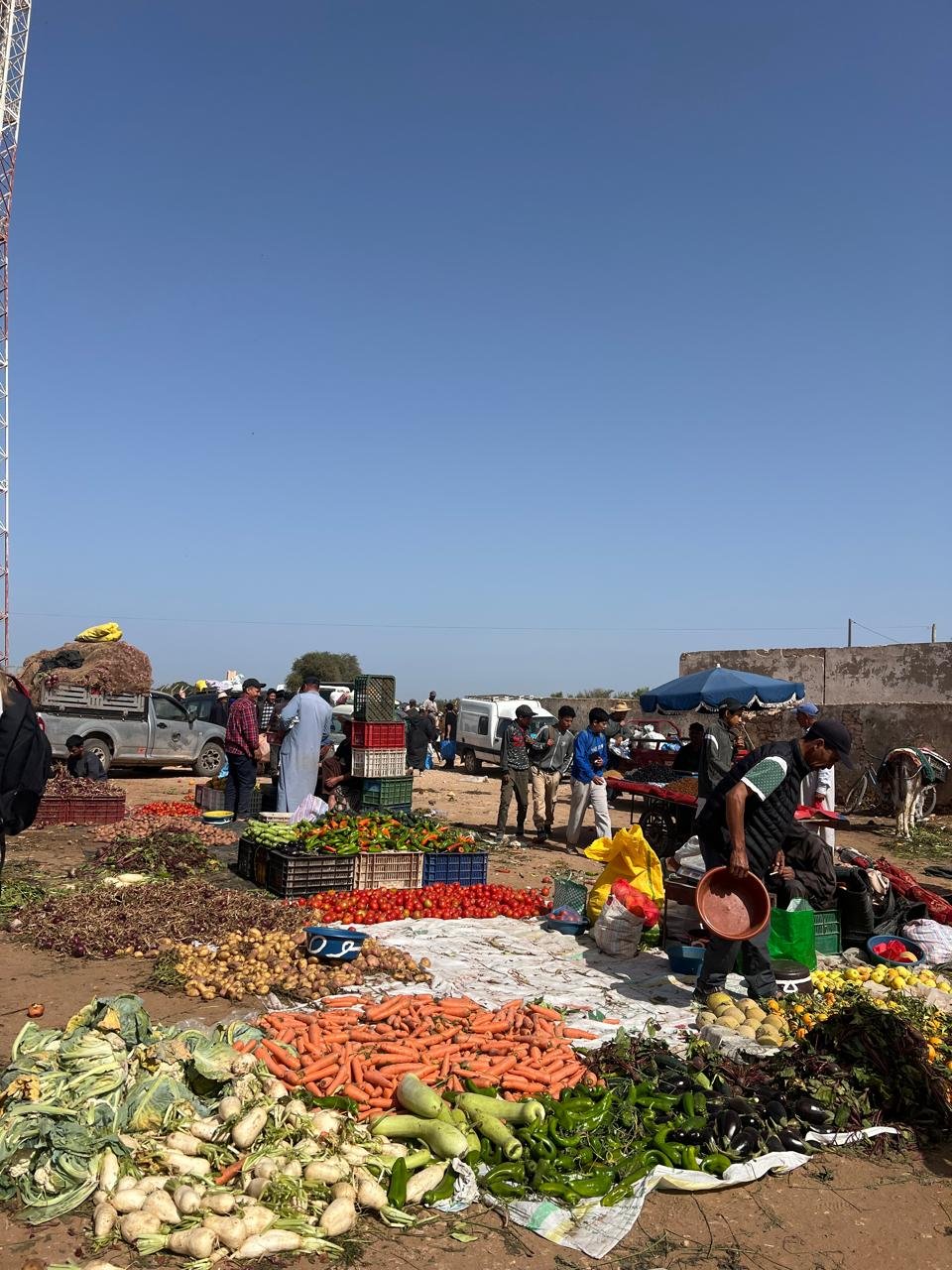 Local life at a rural weekly market in the Essaouira region